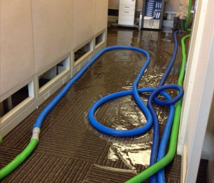 water on the carpet in an office