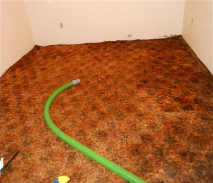 brown wet carpet 