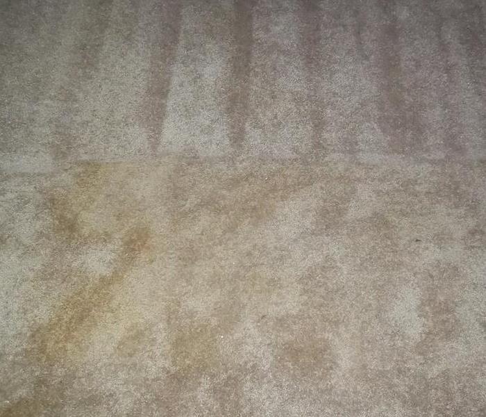 carpet with yellow discoloring
