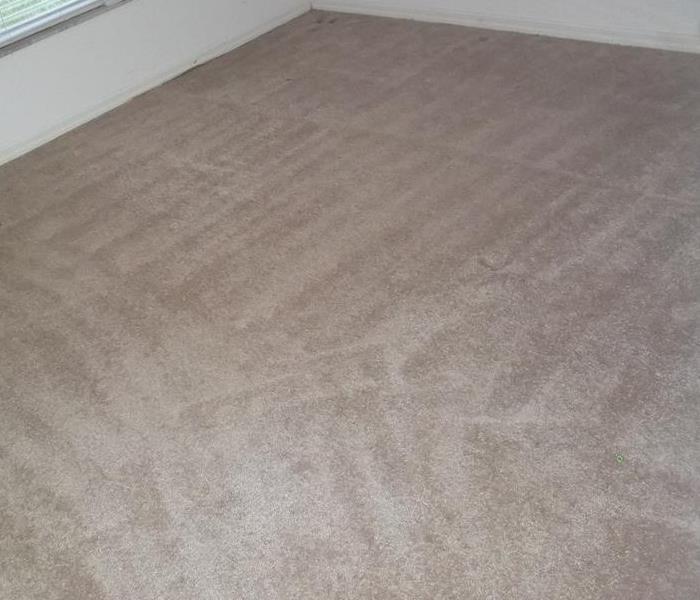 clean beige carpet 