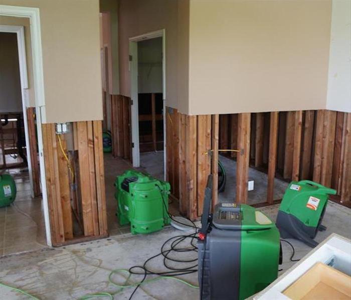 green drying equipment set up in a home 