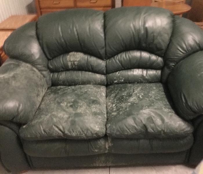 a green leather couch with mold