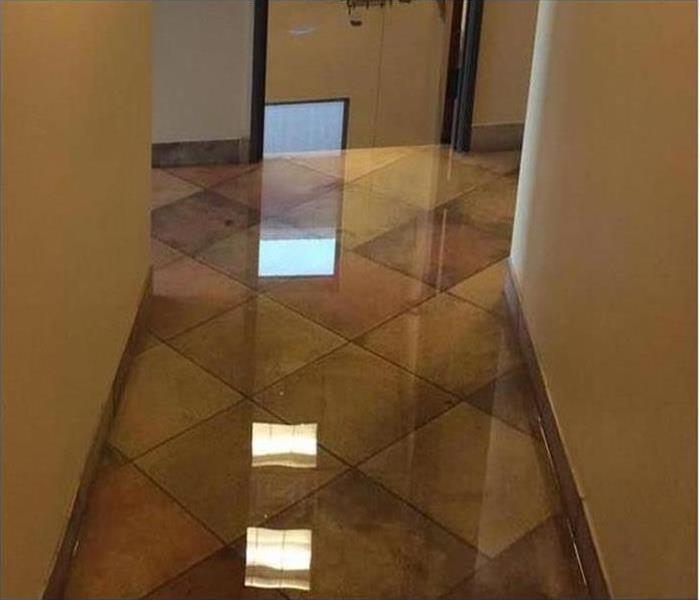 standing water in a property