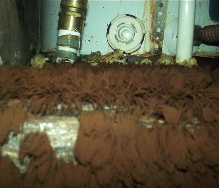 brown stingy hairy mold growing around air conditioning system