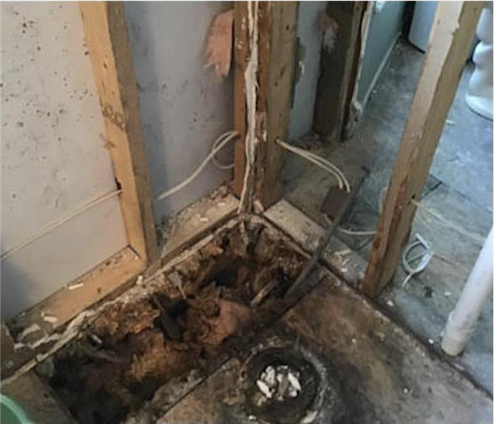 Toilet removed, floor of bathroom with mold growth, wooden structures, drywall has been removed.